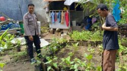 Bhabinkamtibmas Perampuan Dorong Warga Mandiri Pangan