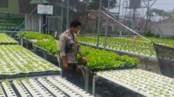 Bhabinkamtibmas Labuapi Ajak Warga Tanam di Pekarangan