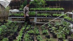 Polsek Labuapi Dorong Ketahanan Pangan di Desa Bengkel